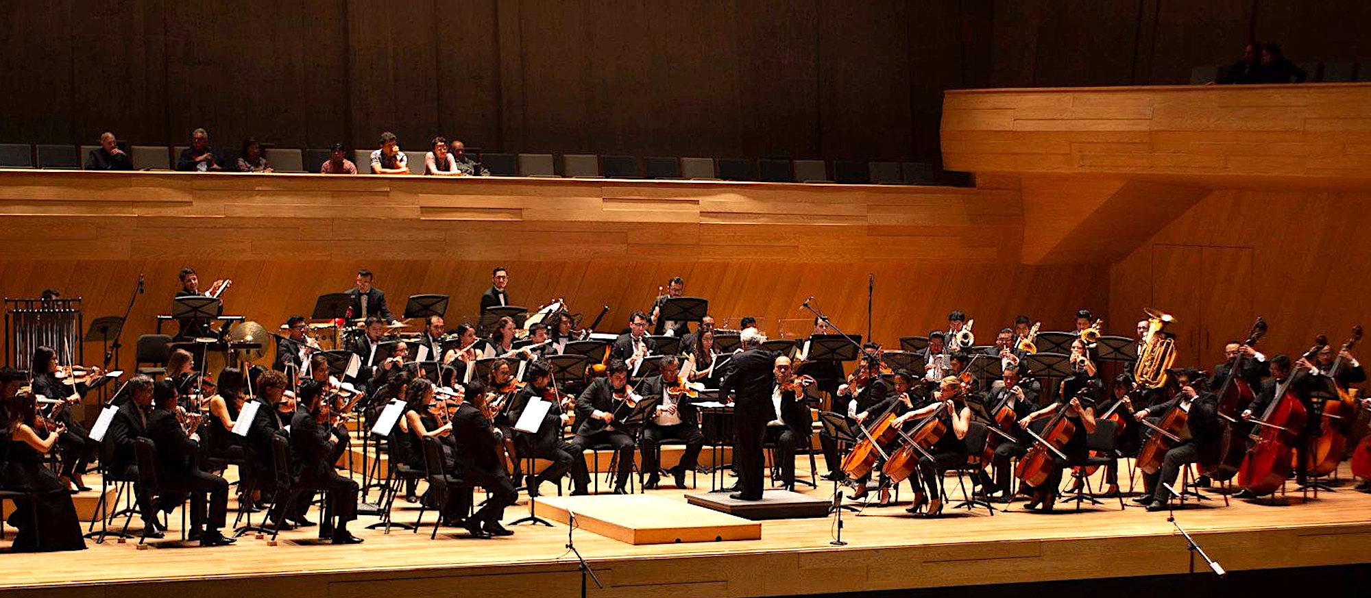 Orquesta Filarmónica de Boca del Río