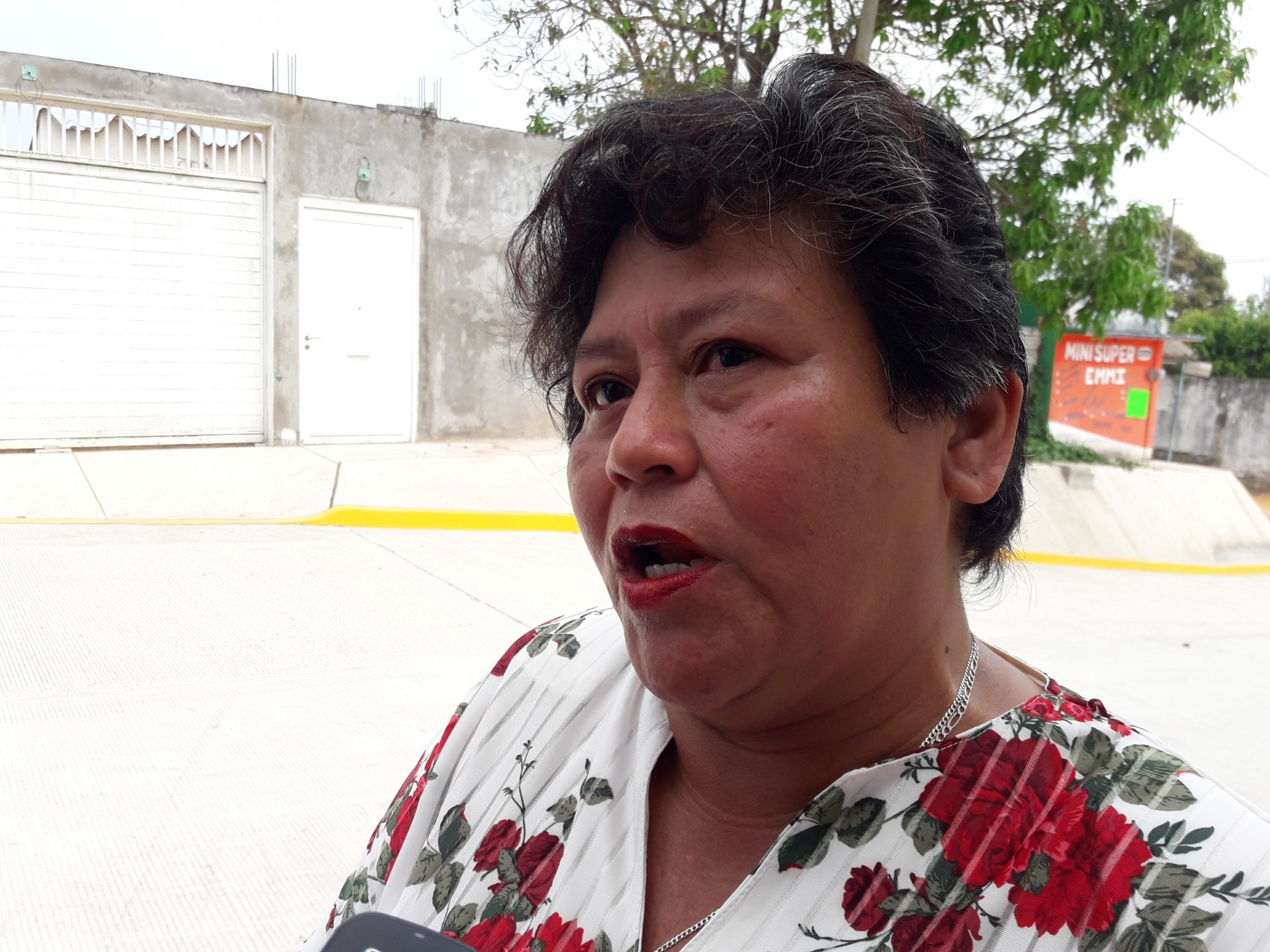Presidenta de la Comisión de Desarrollo Económico se ausenta de comparecencia