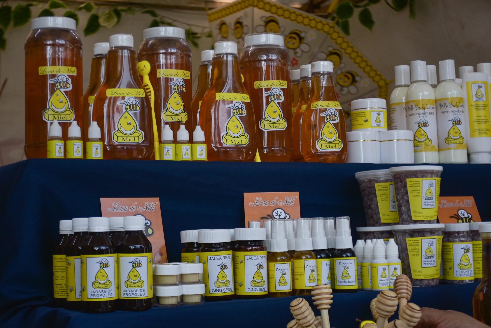 Mujeres integran el 90 % de  cooperativas productoras de miel