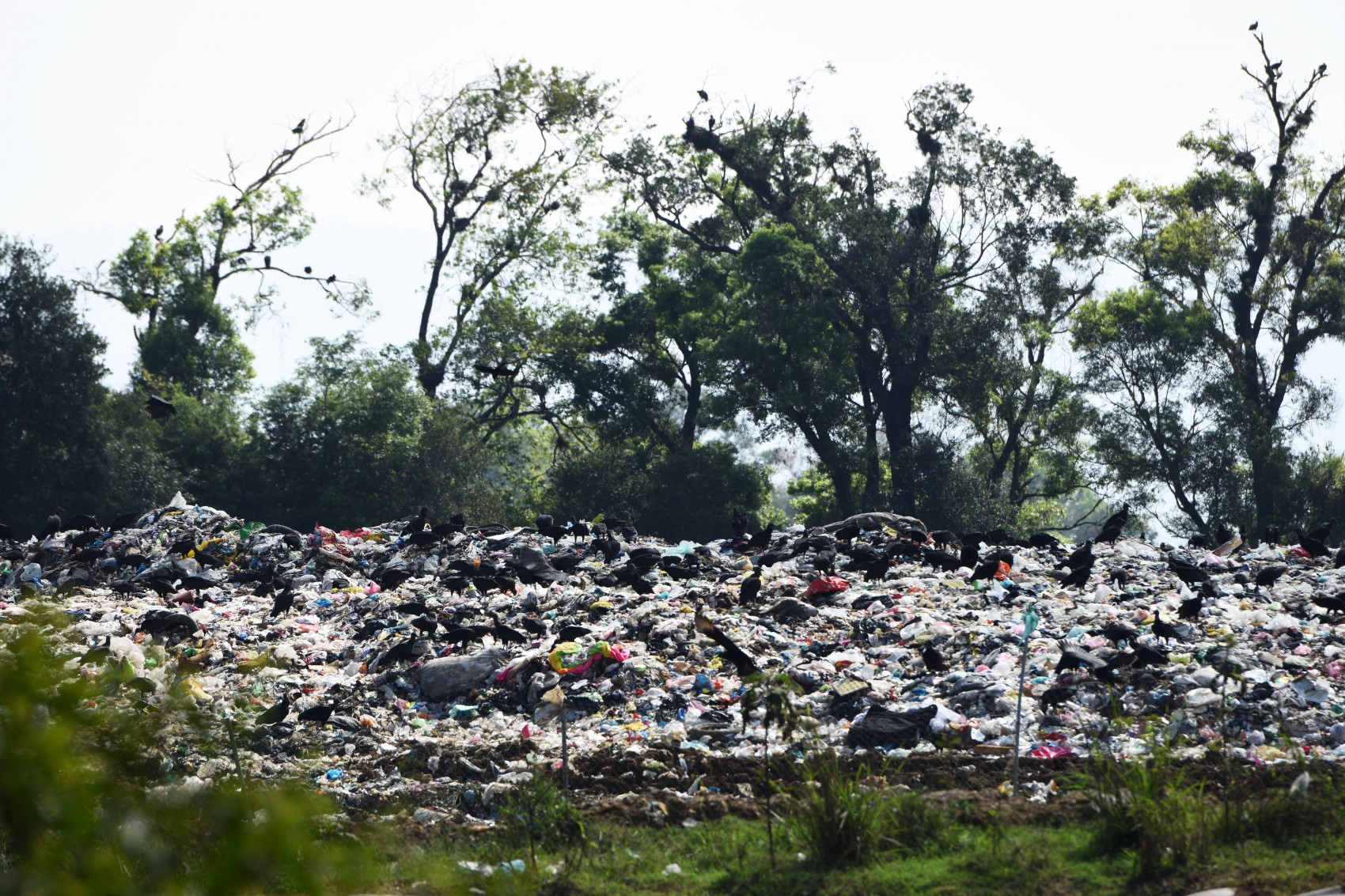 Xalapa descarta nacimiento de agua en relleno El Tronconal