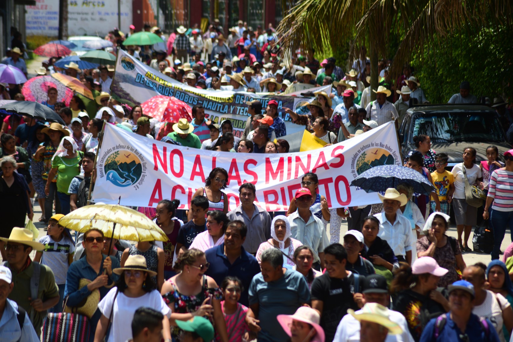 Ambientalistas en alerta por 97 concesiones mineras vigentes en Veracruz
