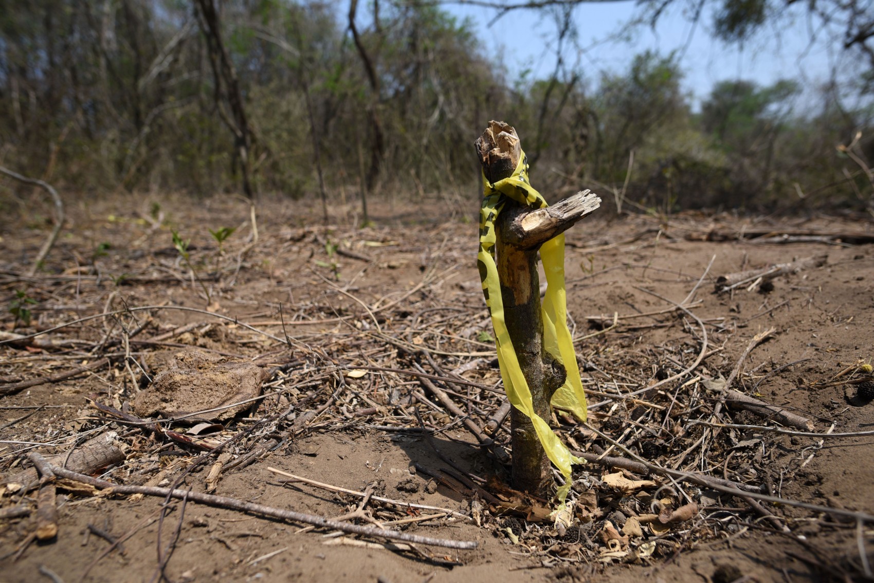 Fosas clandestinas en Veracruz: entre el subregistro y los intereses económicos