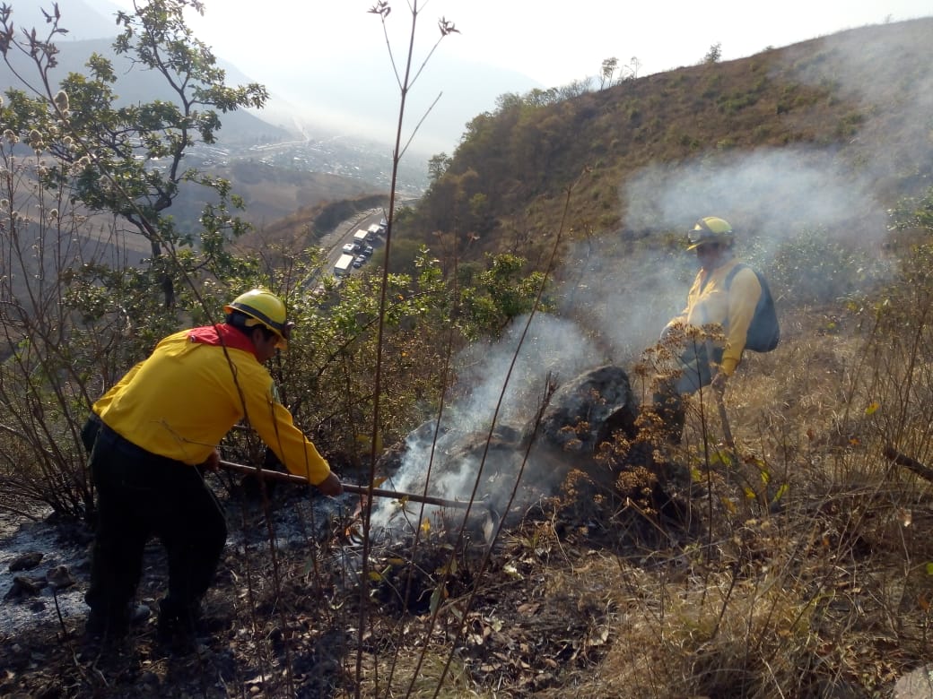 Incendio daña 13 hectáreas en Maltrata