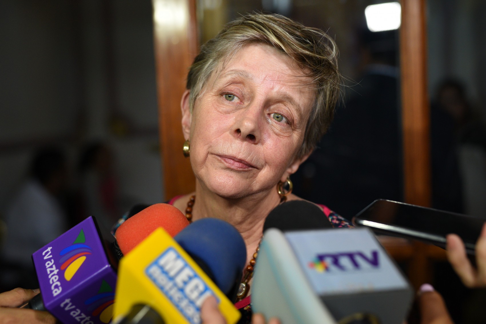 Rosalía Castro Toss, Integrante del Colectivo Solecito, desaparecidos