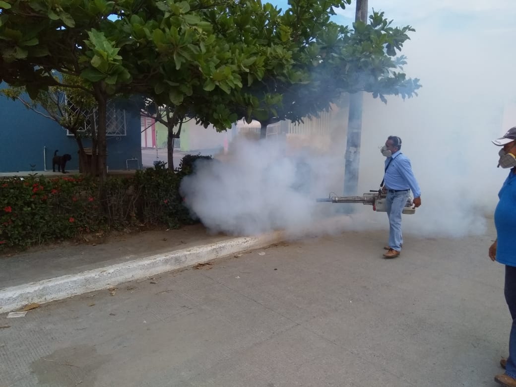 Pánuco, Veracruz, Coatzacoalcos y Xalapa, focos rojos por propagación del dengue: Sesver