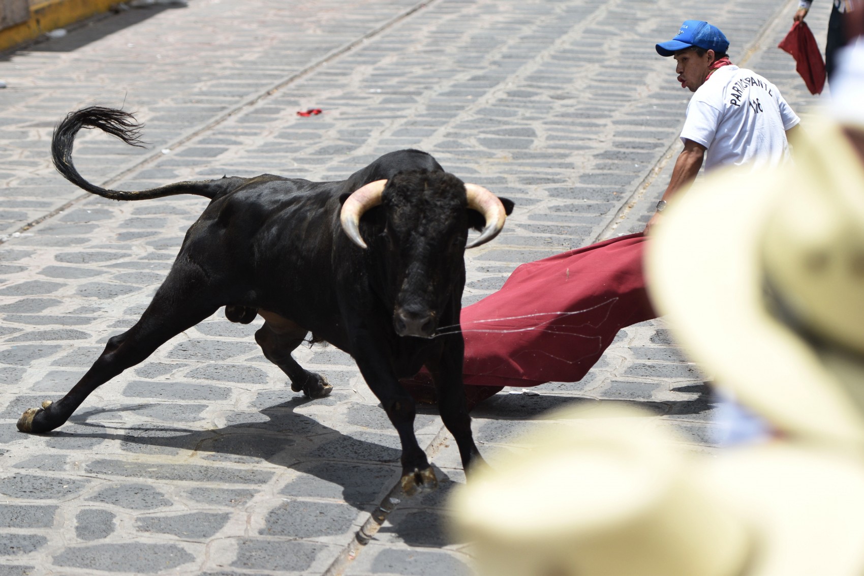 Xiqueñada inicia con 18 toros de lidia