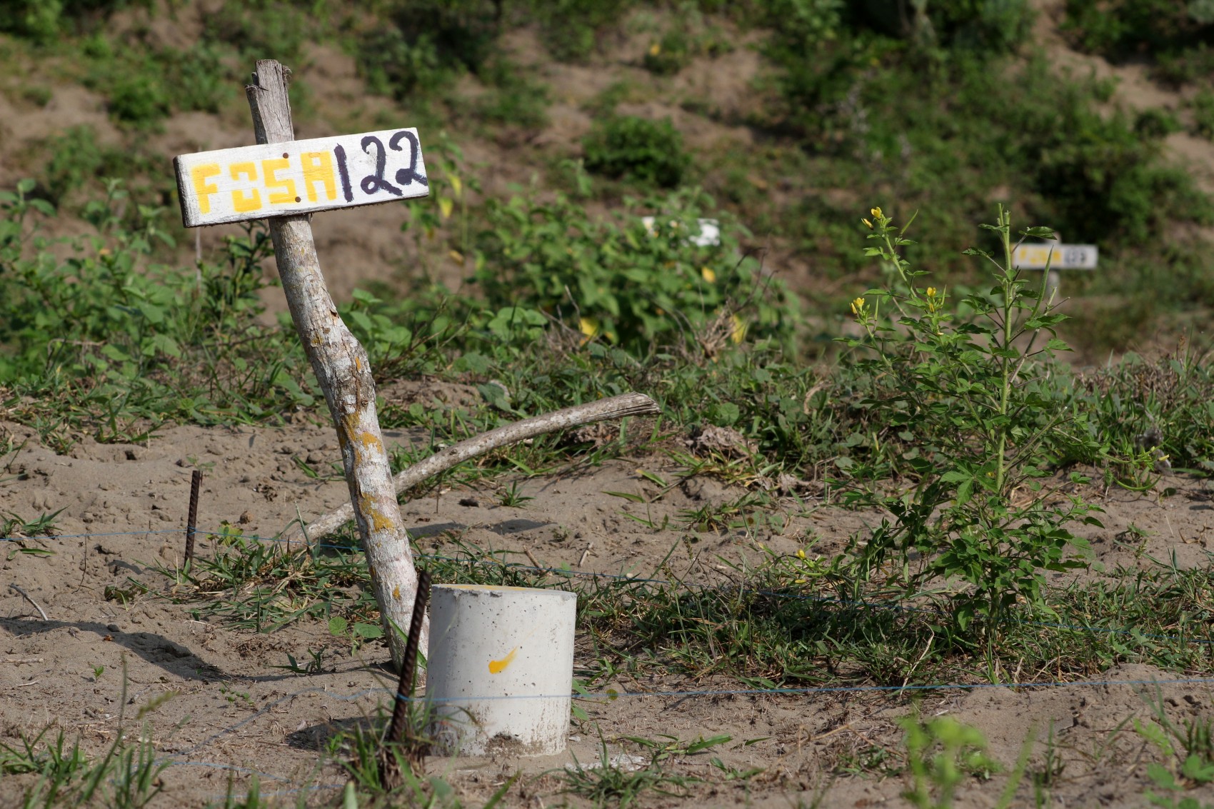 Sin confirmar restos humanos de veracruzanos en el rancho Izaguirre de Teuchitlán: CEB