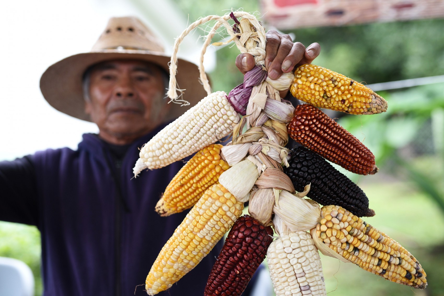 Feria de la milpa, este domingo 1 de octubre en San Andrés Tlalnelhuayocan