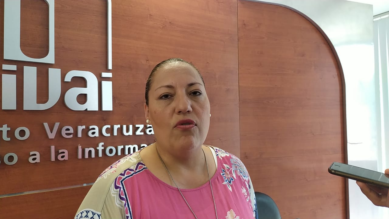 Ex comisionada del IVAI, Yolli García obtuvo amparo para ser liberada