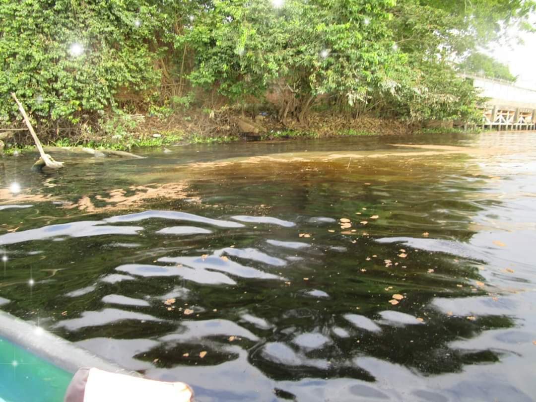Limpieza de hidrocarburo en playas de Coatzacoalcos tomará al menos diez días