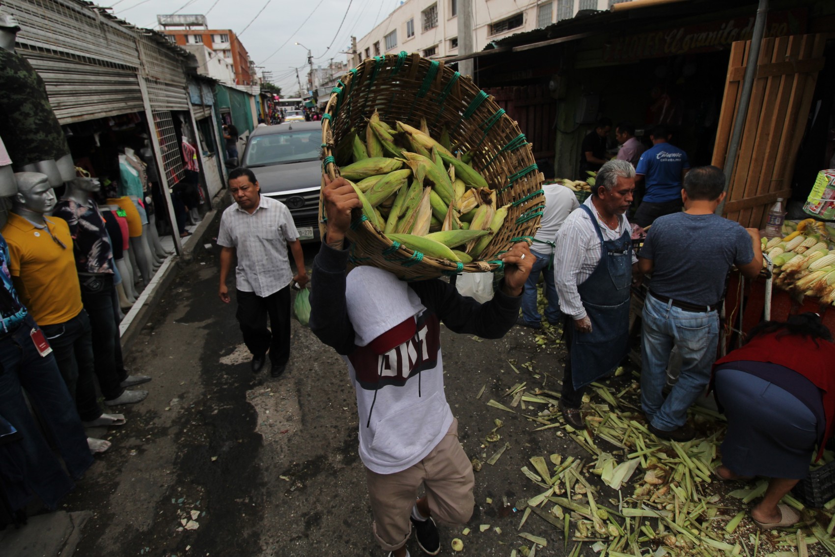 En desventaja maiceros mexicanos con firma del TMEC: Unión Estatal Agrícola