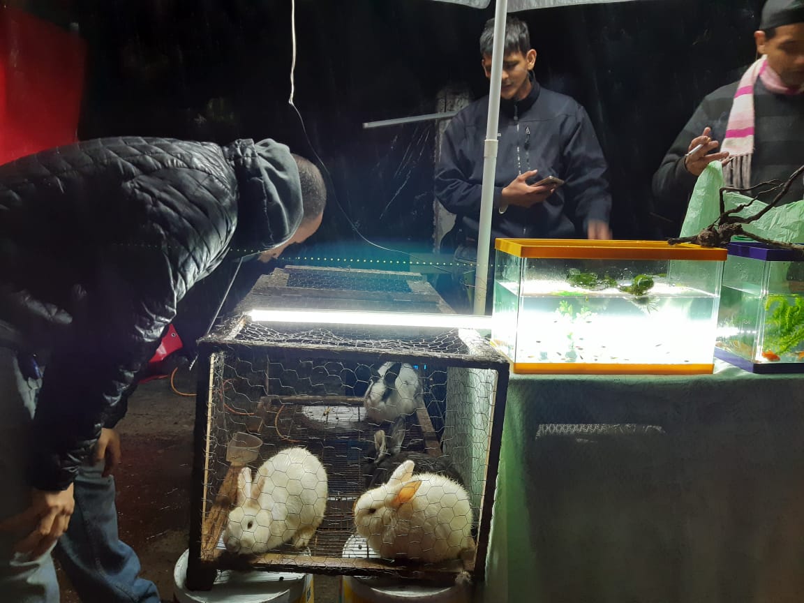 Decomisan animales de puestos ambulantes en Xalapa