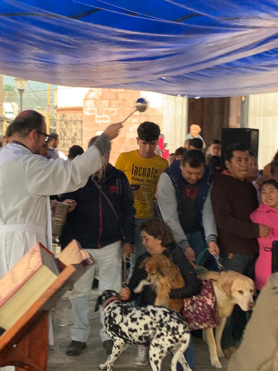 Bendicen a más de 500 mascotas en Río Blanco