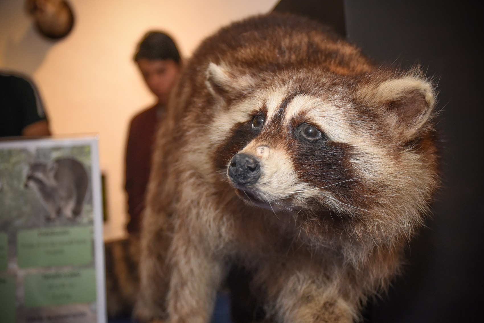 La Biodiversidad Amenazada, en el Centro Recreativo Xalapeño