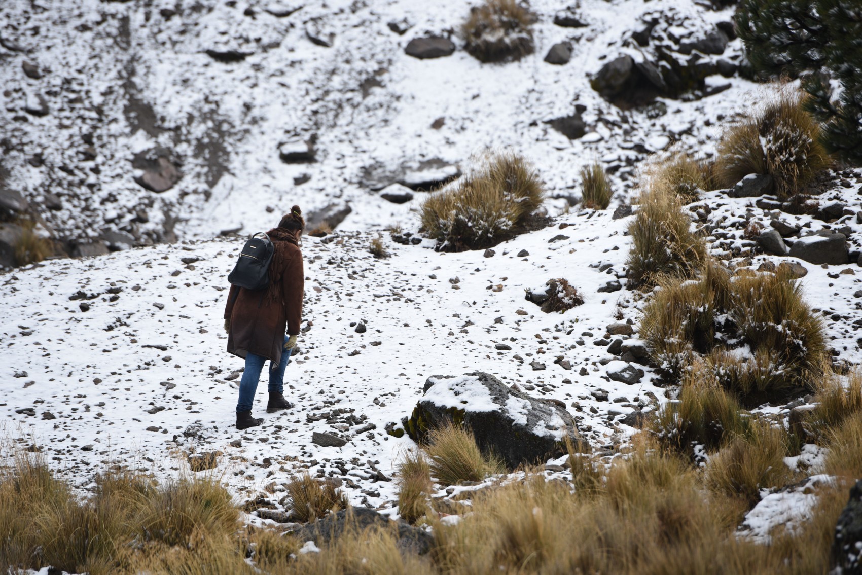 Cae la primera nevada del 2020 en el Cofre de Perote