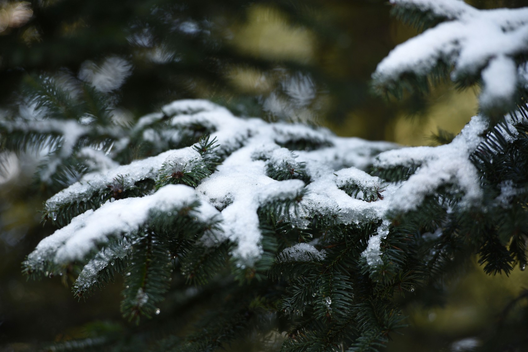 Alerta Gris por posible nieve en Cofre y Pico de Orizaba