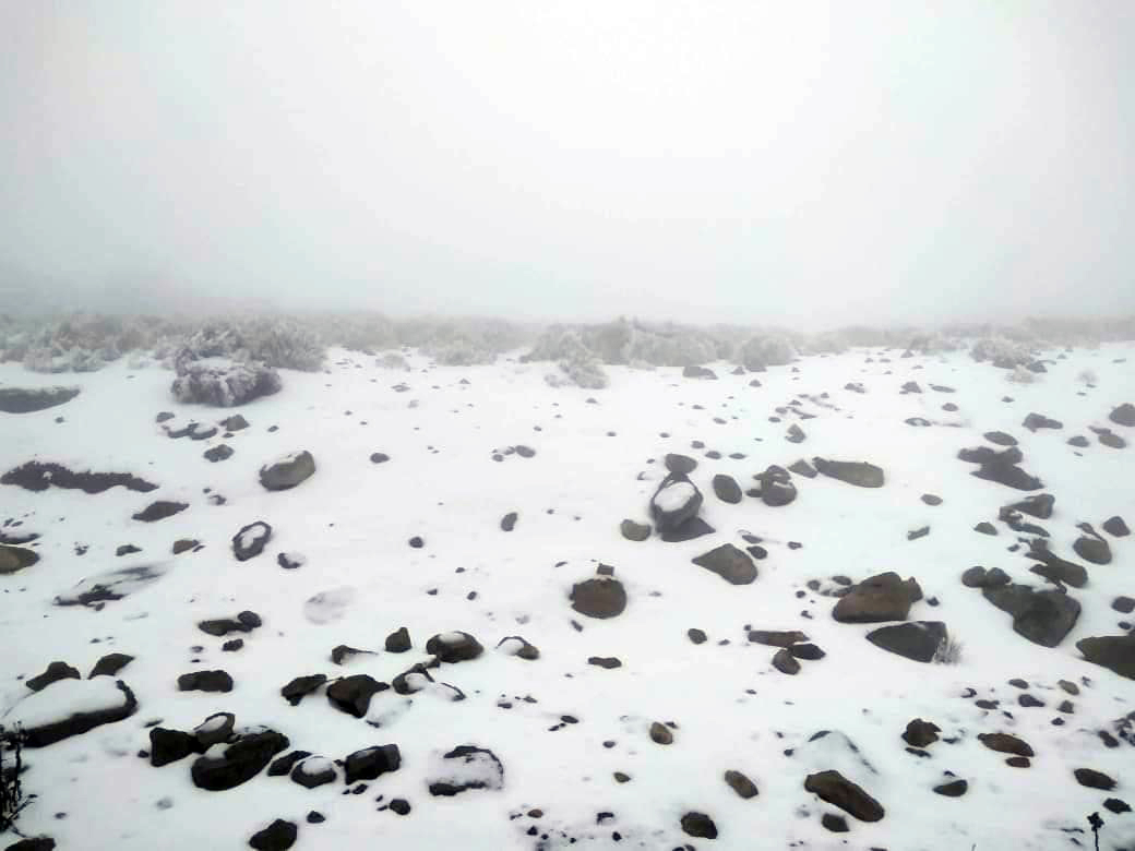 Por aguanieve en Cofre de Perote se limita el acceso a la montaña