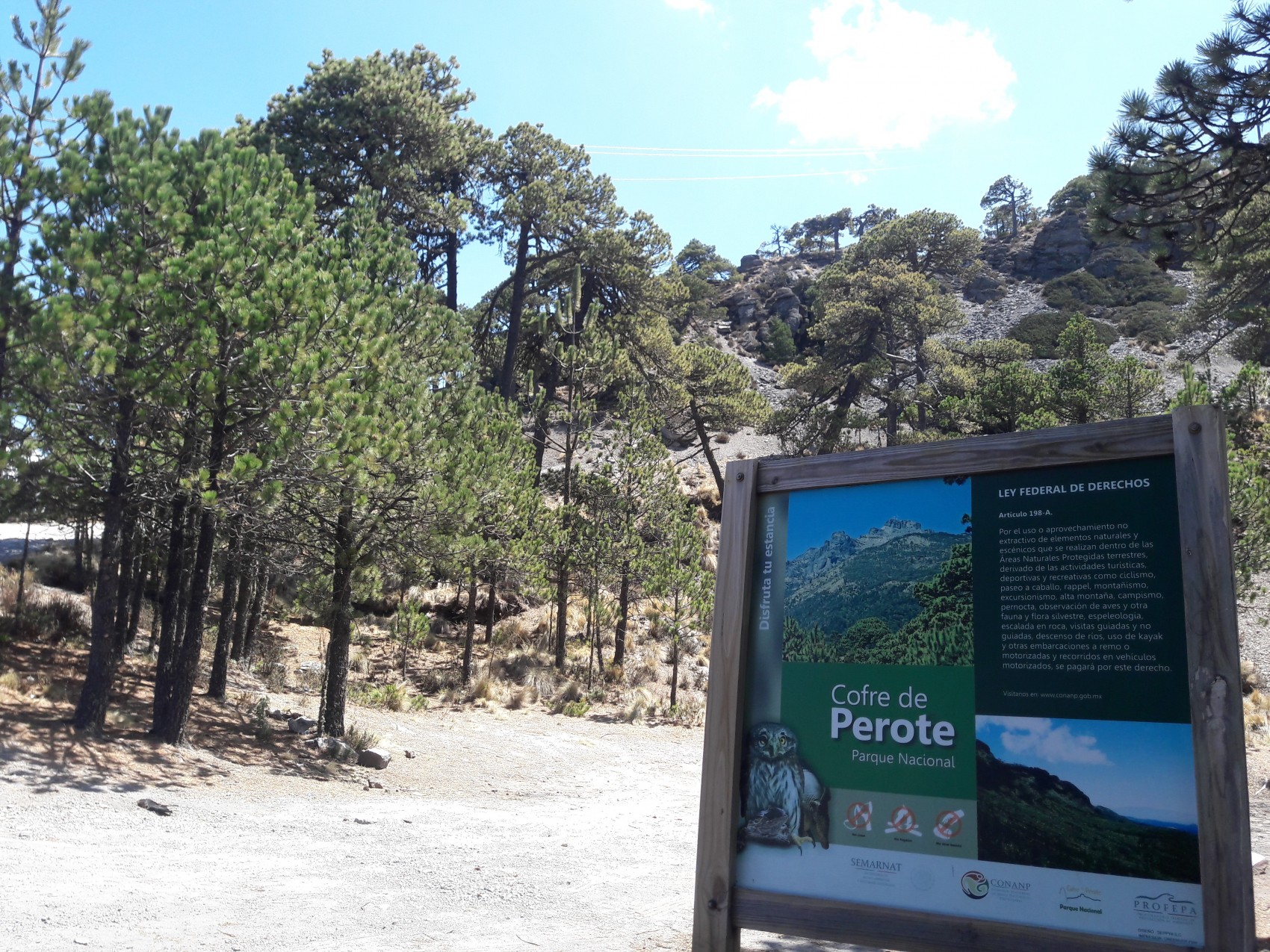 En el Valle de Perote termómetro cae a -3 grados