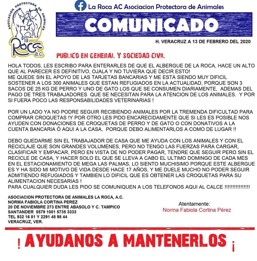 Protectora de animales pide apoyo para alimentar a 300 perros y gatos