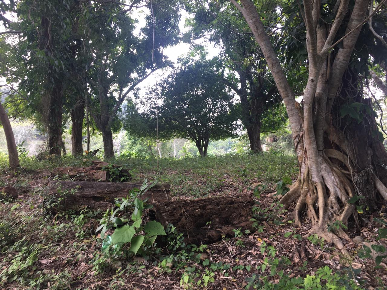 Las cocinas ocultas en Veracruz  que reveló la V Brigada de Búsqueda