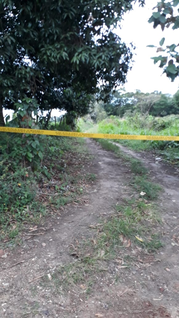 Localizan cadáver embolsado en Oluta