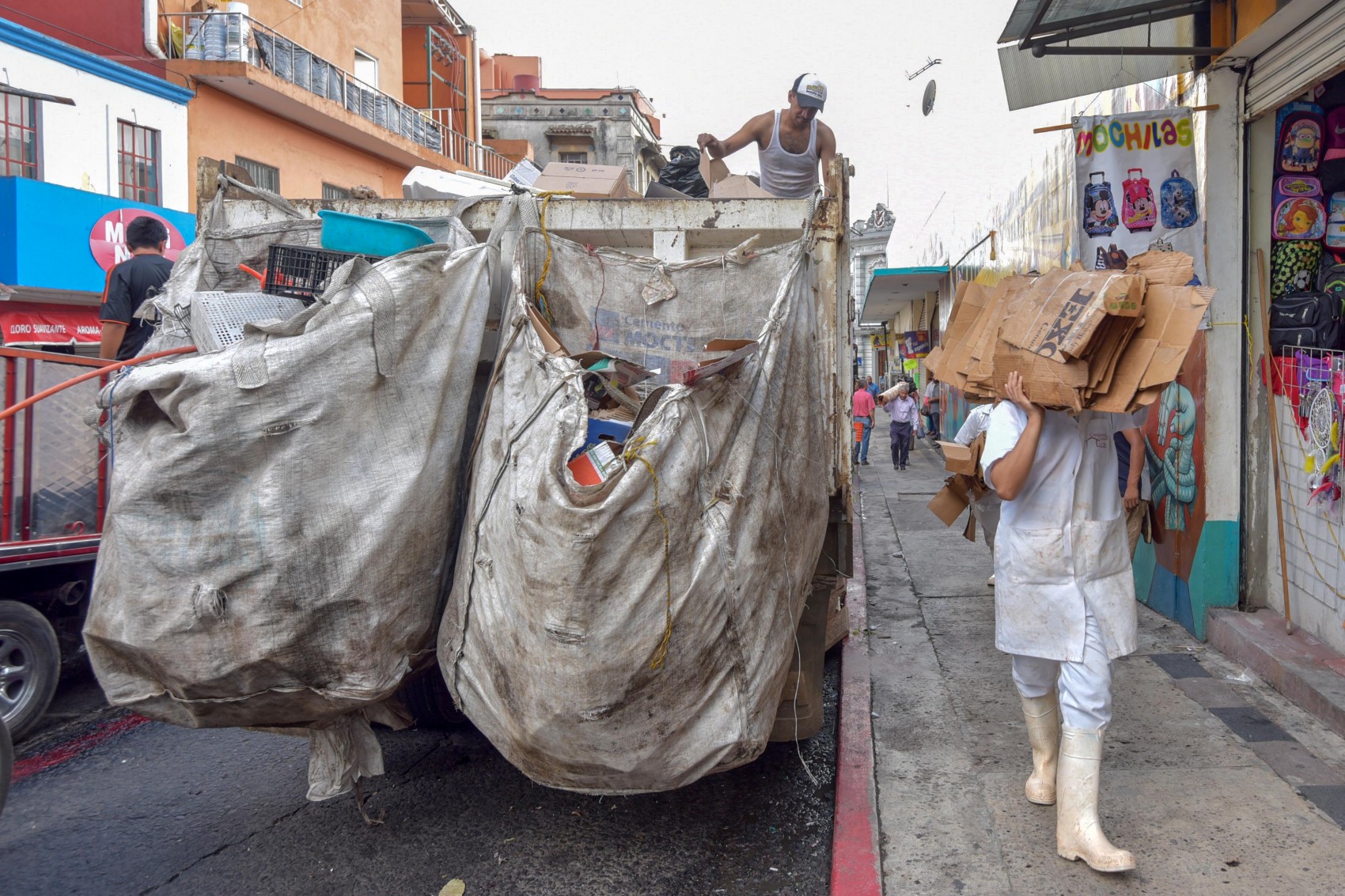Xalapa reforma reglamentos para manejo de residuos y composta