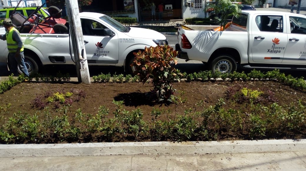 Mejoran movilidad e imagen urbana  en la avenida Manuel Ávila Camacho