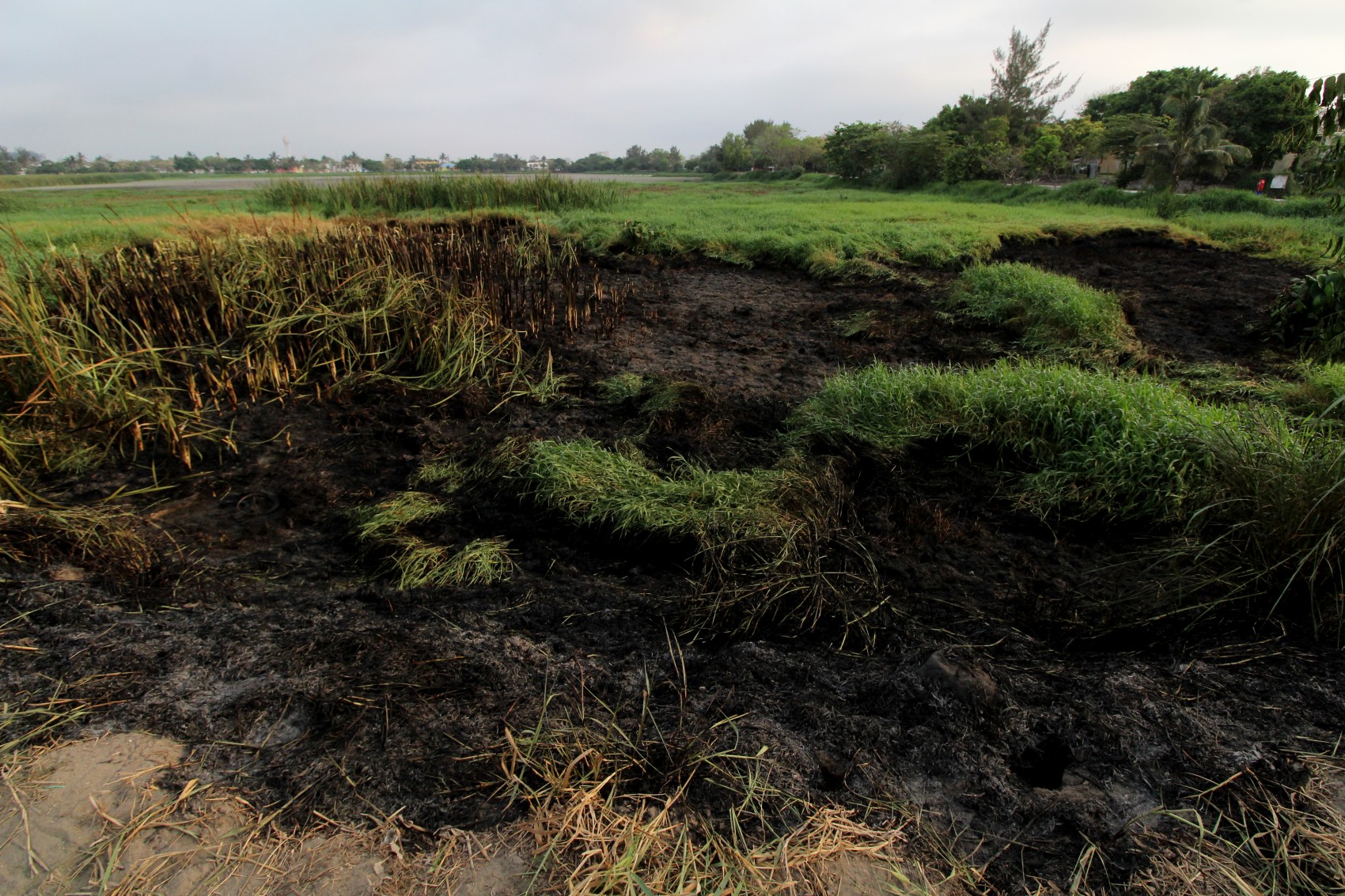 Incendio en laguna Lagartos  pudo haber sido provocado