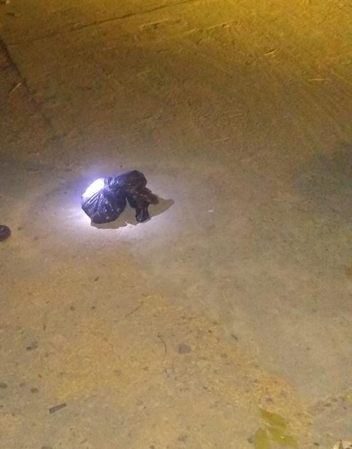 Decapitado en Álamo