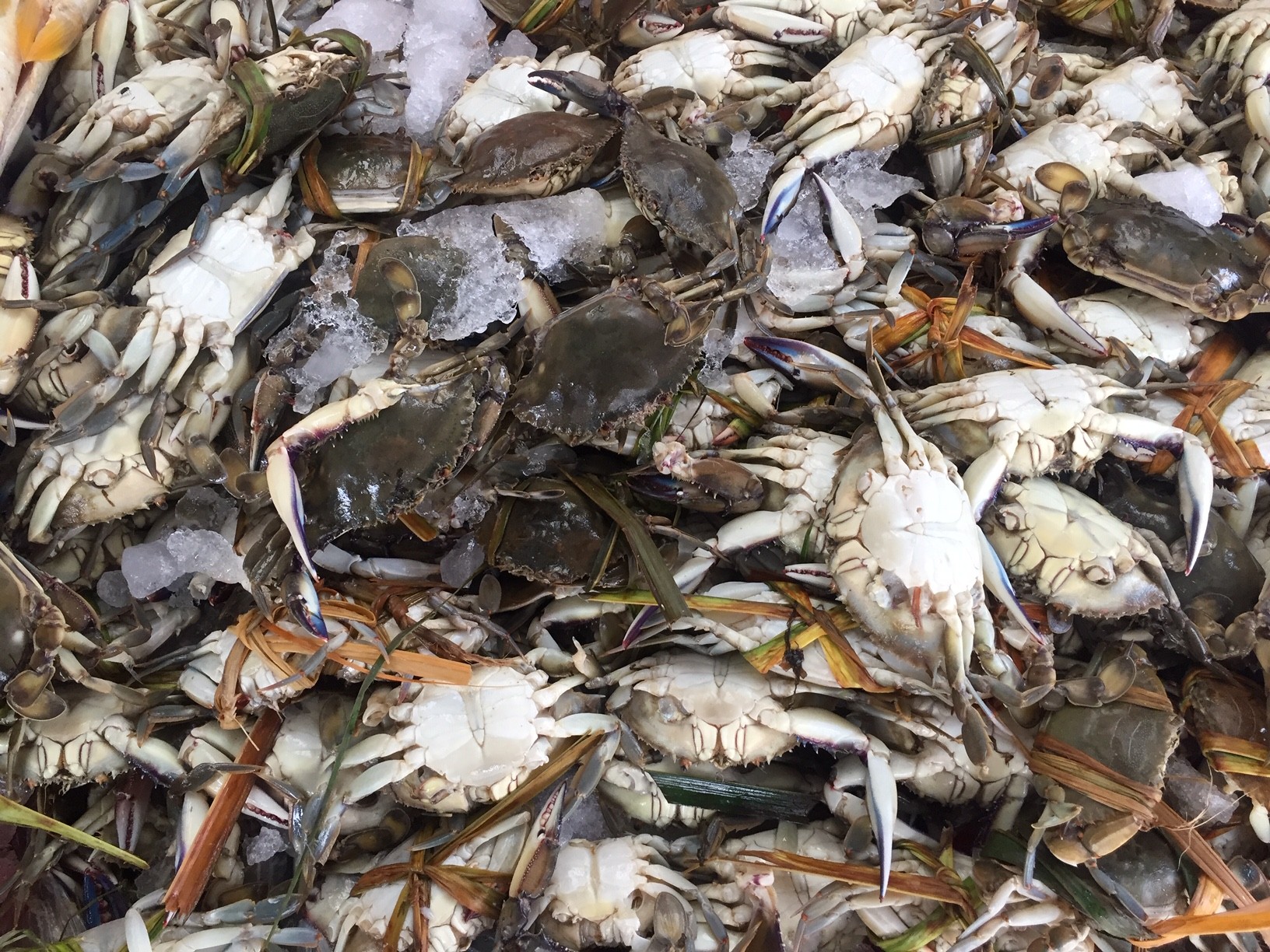 Pescaderías prevén baja de hasta el 50% en ventas de Semana Santa