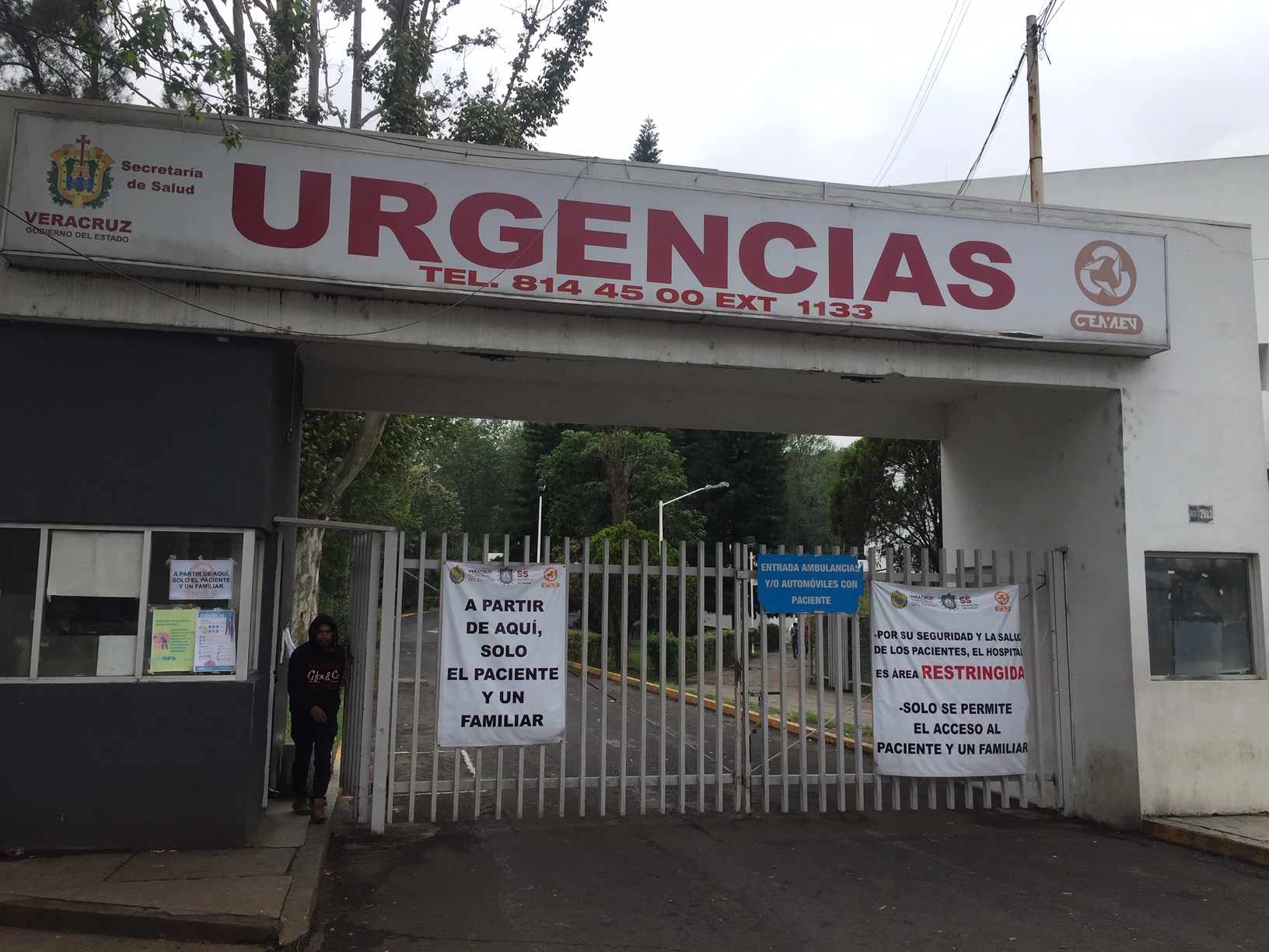 Pitbull muerde a ama de casa,  familiares presentan denuncia ante FGE