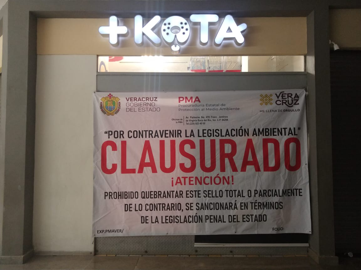 Clausuran tienda +Kota en Boca del Río por maltrato animal