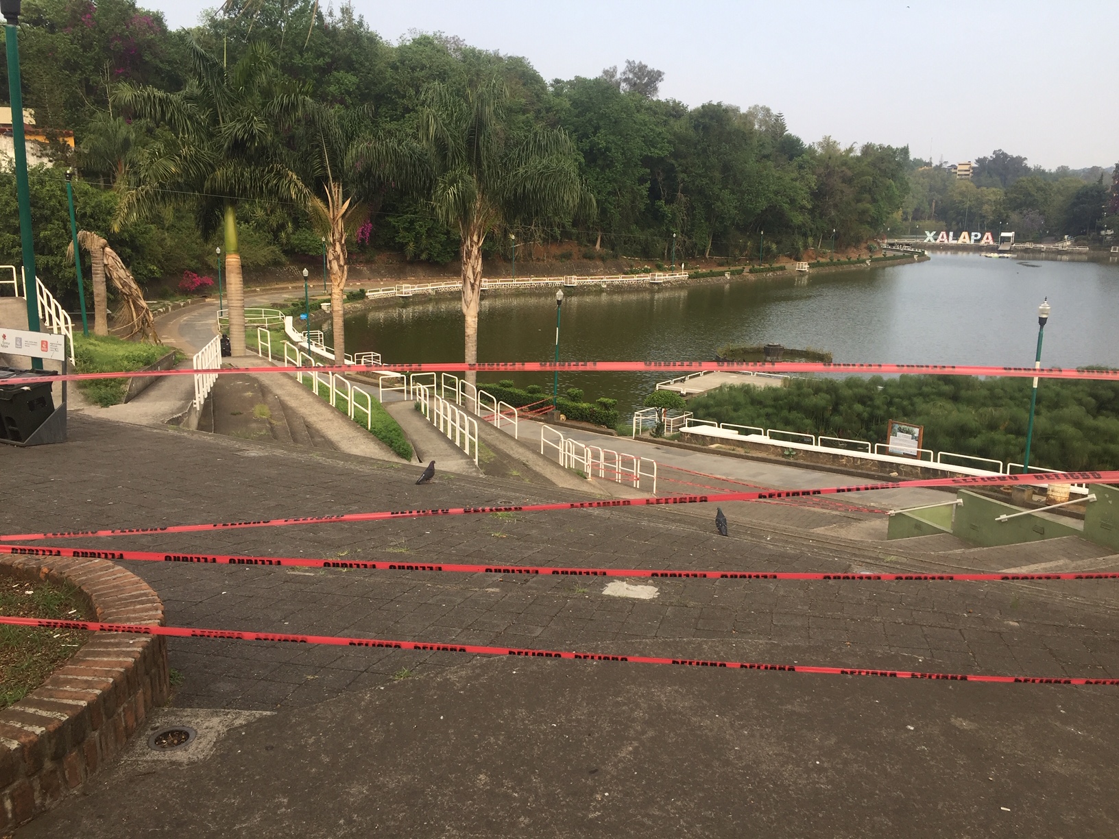 Aparecen peces muertos en Los Lagos del Dique
