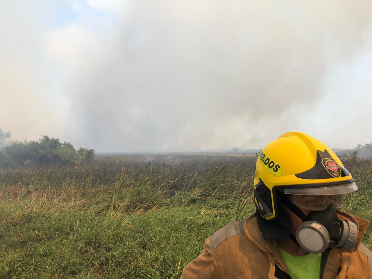 Controlado incendio de pastizal suscitado en los límites de Boca del Río