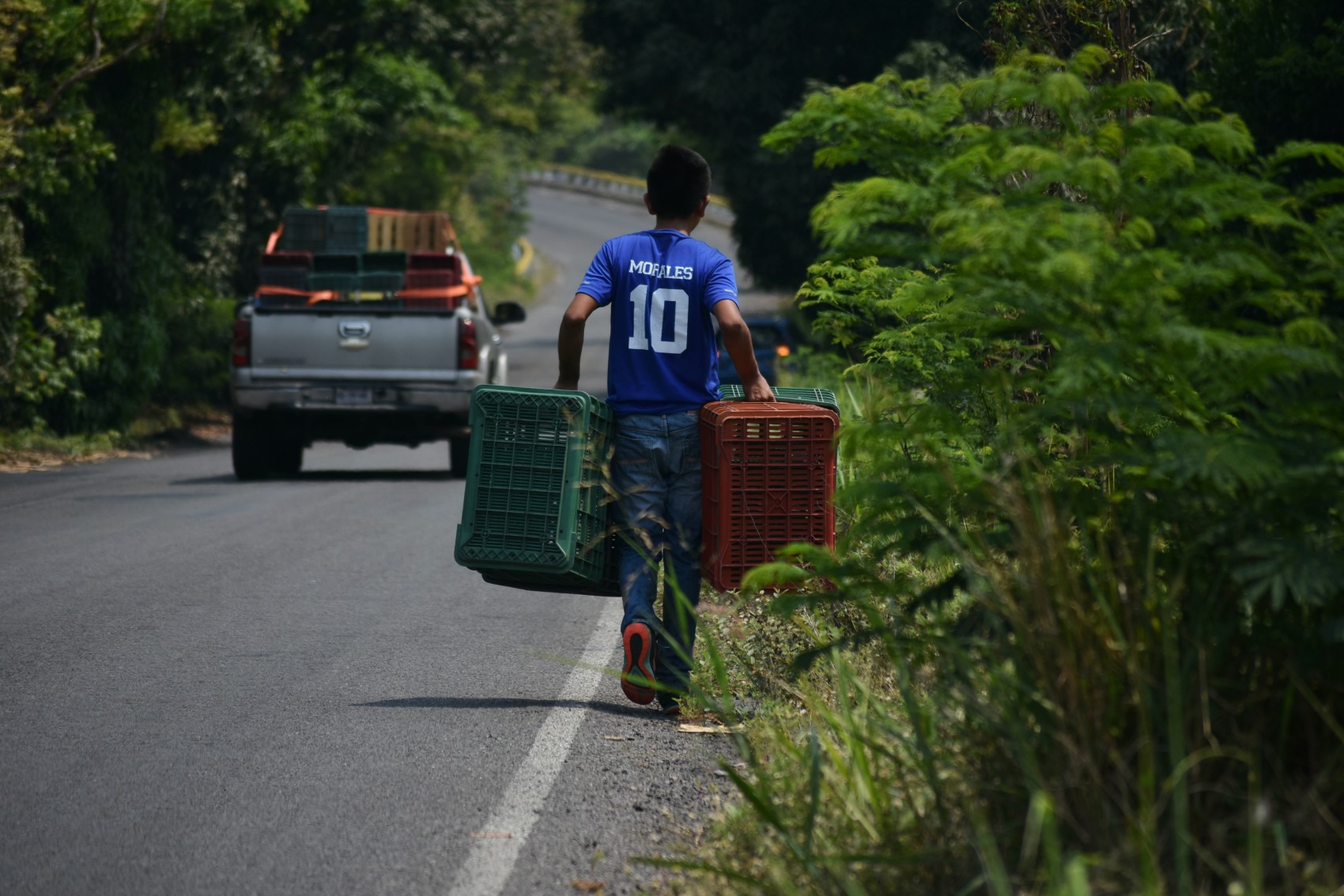 Presupuesto federal prevé recortes a seguridad, campo y carreteras en Veracruz