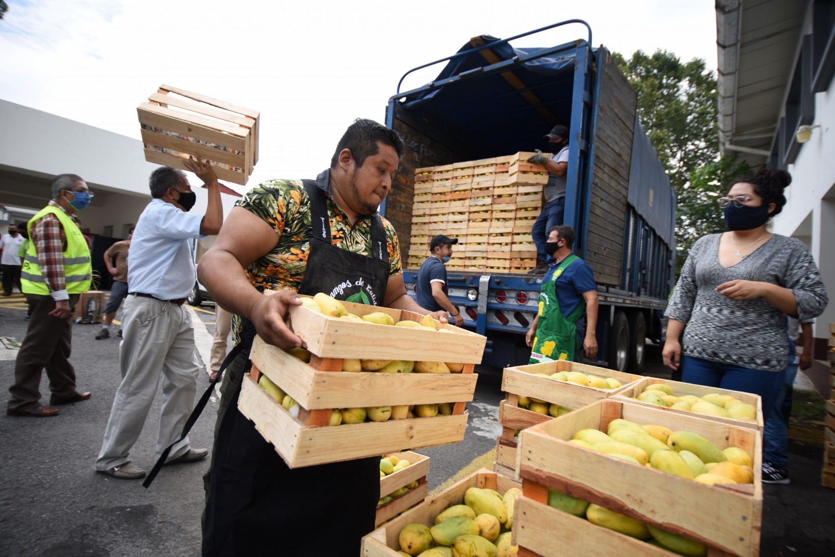 Productores de mango, vainilla, plátano y litchi, estarán este miércoles en el tianguis Leysegui