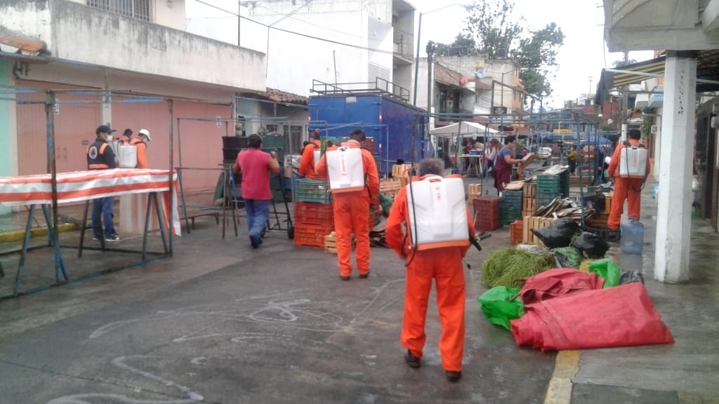 Tianguis, higiénicos y seguros