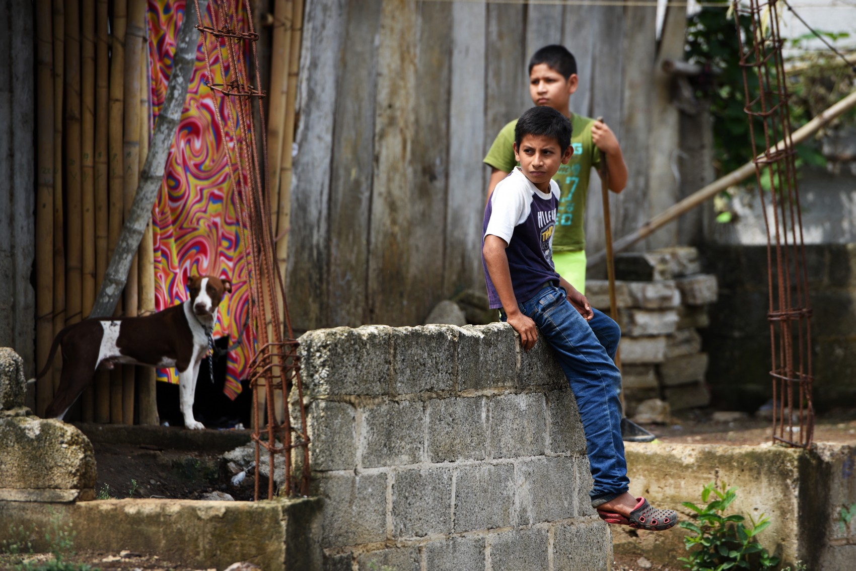 Veracruz no va a regresar a clases, aún no llega el pico de la pandemia
