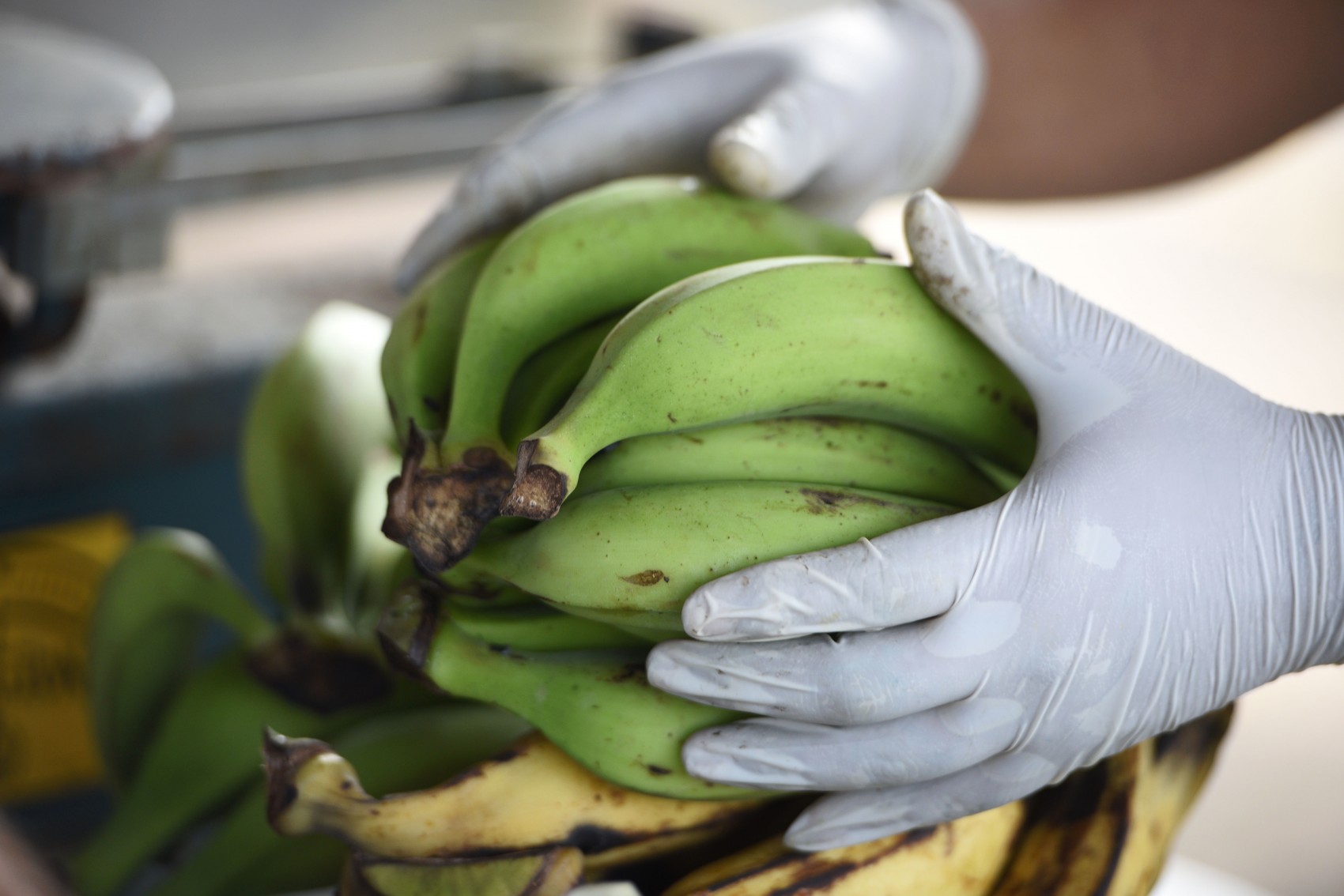 Productores de plátano piden crear mercados regionales para ofertar directamente el producto