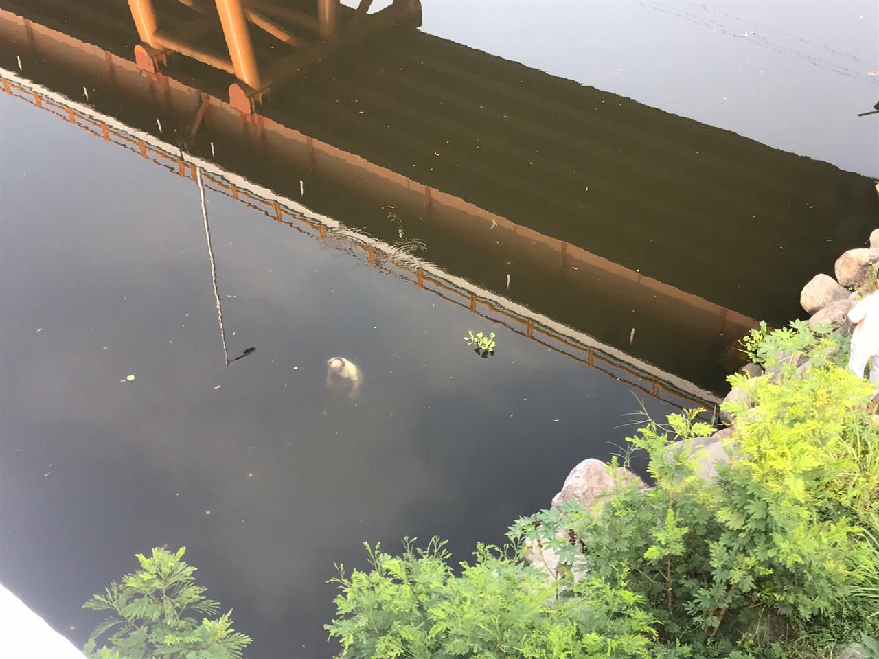 Cadáver queda atrapado en la red de pescadores de La Antigua