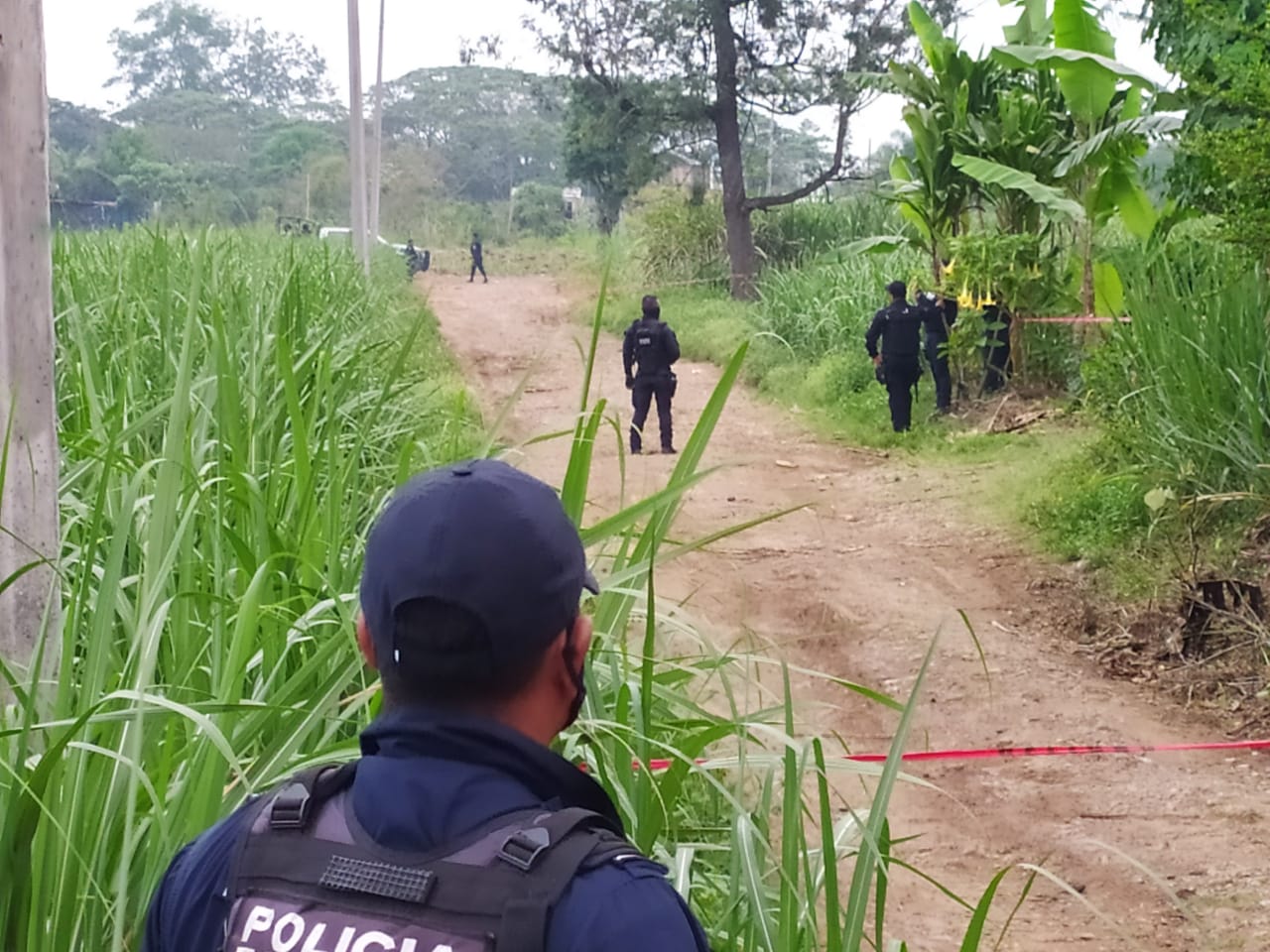 Encuentran cadáver en bosque de Monte Salas