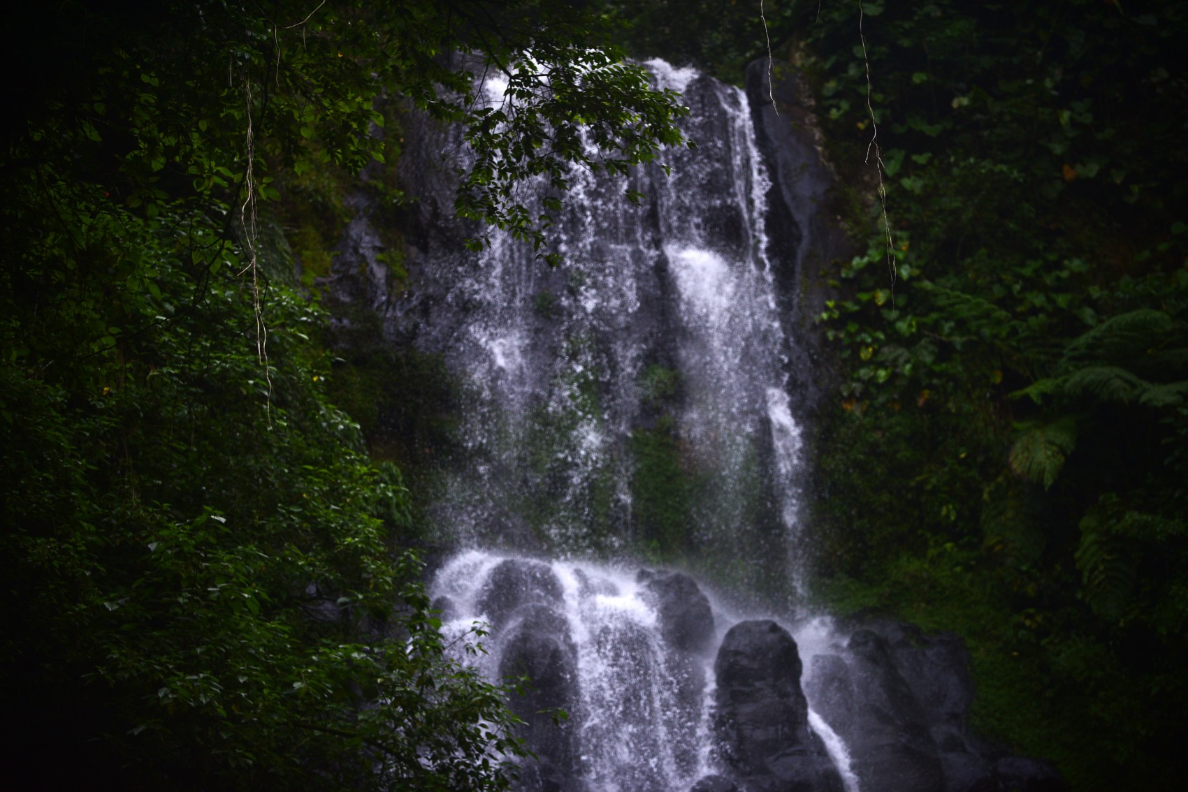 Caminata a la cascada La Granada para  celebrar 15 años de Coatepec como Pueblo Mágico