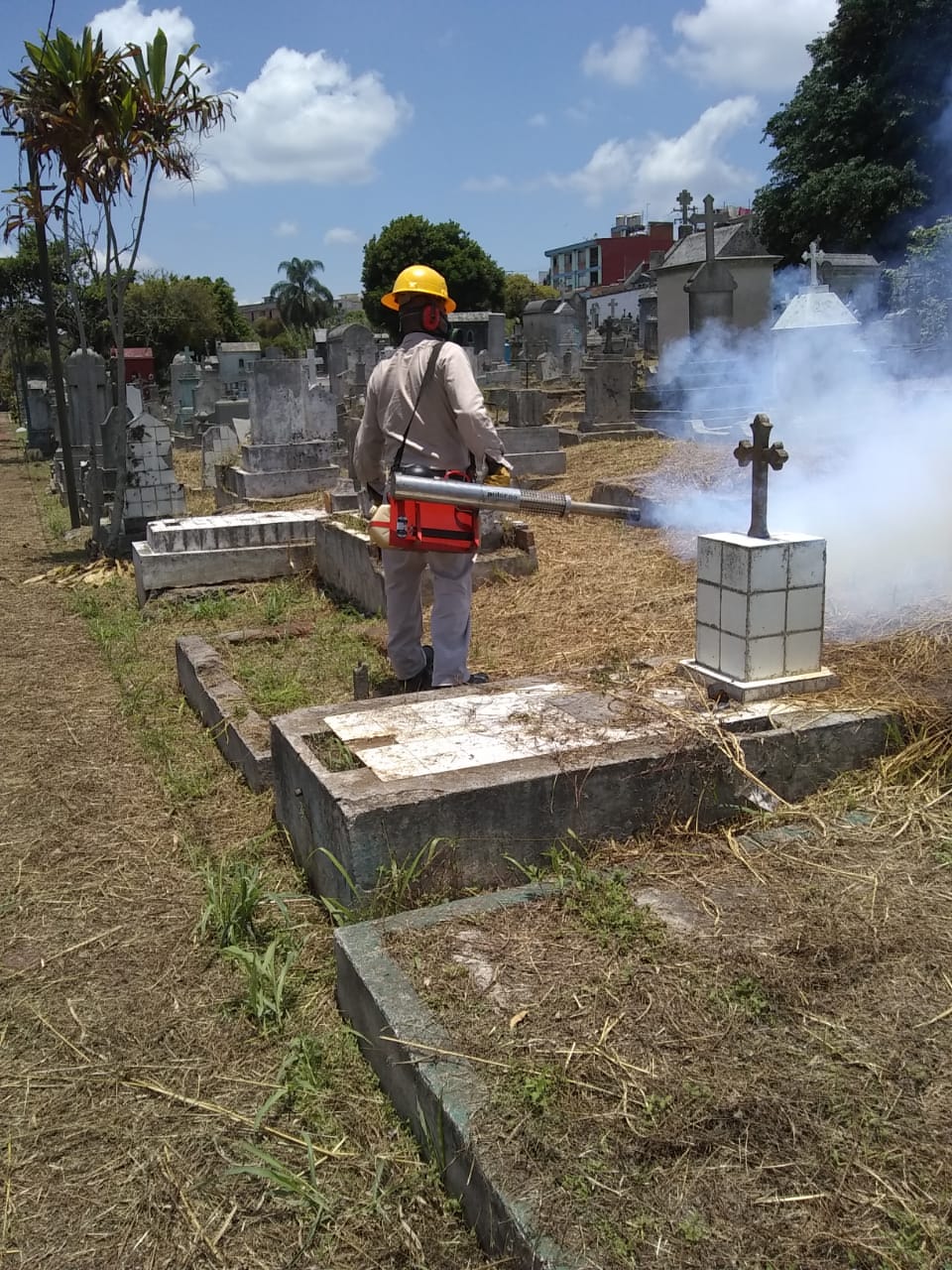 Fumigan el Panteón 5 de Febrero