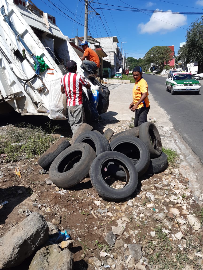 Permanentes, acciones contra el dengue en Xalapa