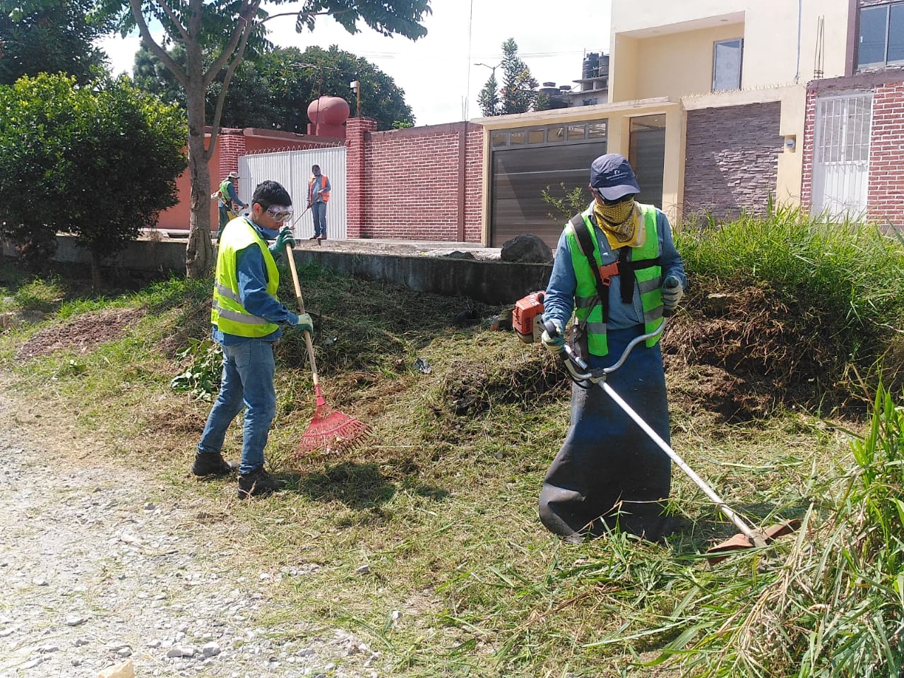 Continúan trabajos de mantenimiento  en áreas verdes de Xalapa