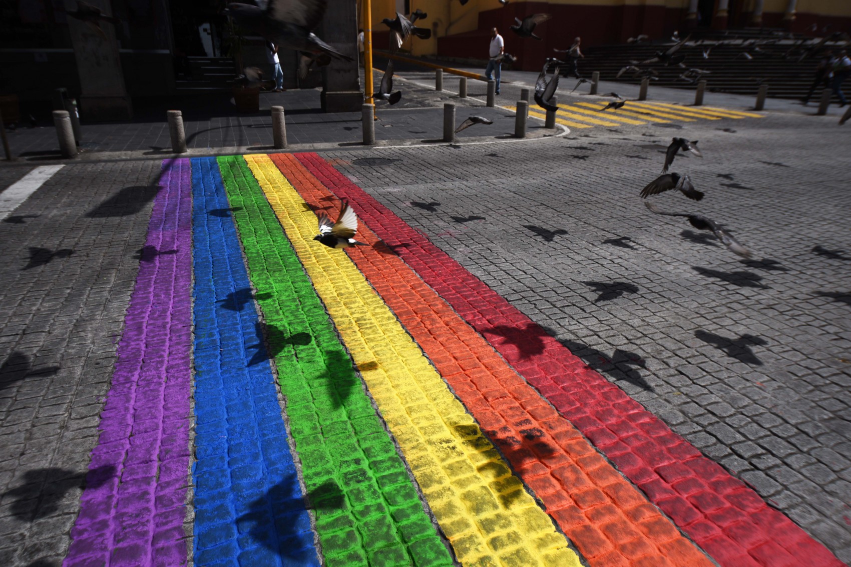 CEDH Veracruz emite recomendación por discriminación a personas LGBT