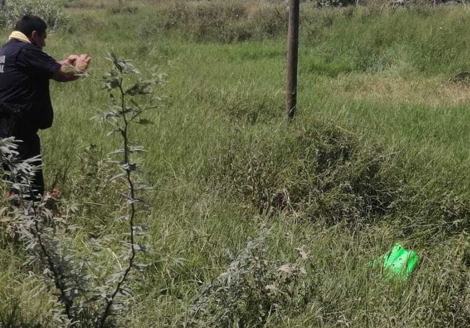 Hallan cabeza humana a un  costado de la carretera Álamo-Tihuatlán