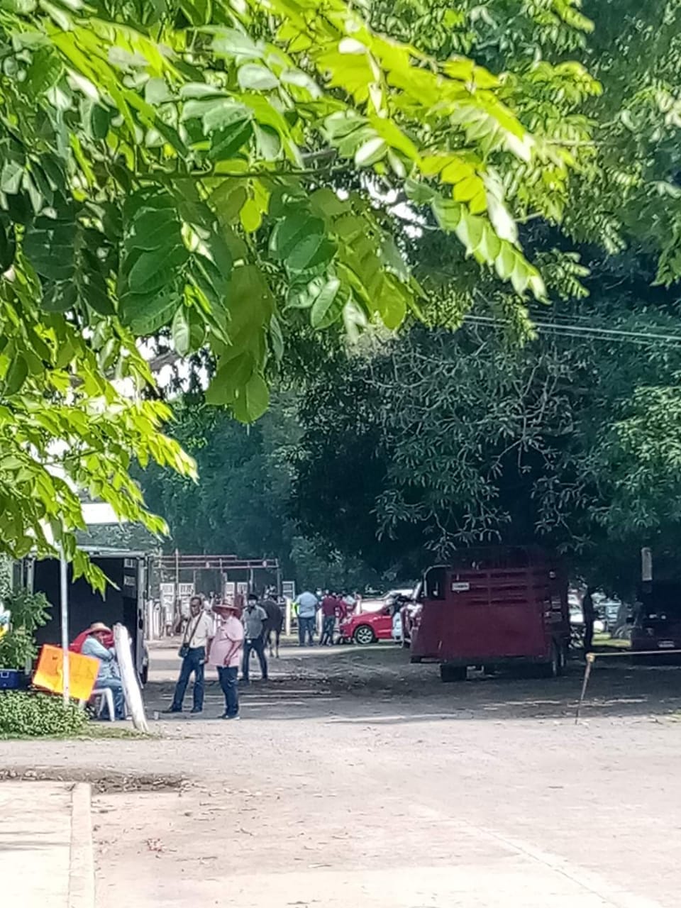 Esposo de la alcaldesa de Jamapa organiza carreras de caballos en plena pandemia