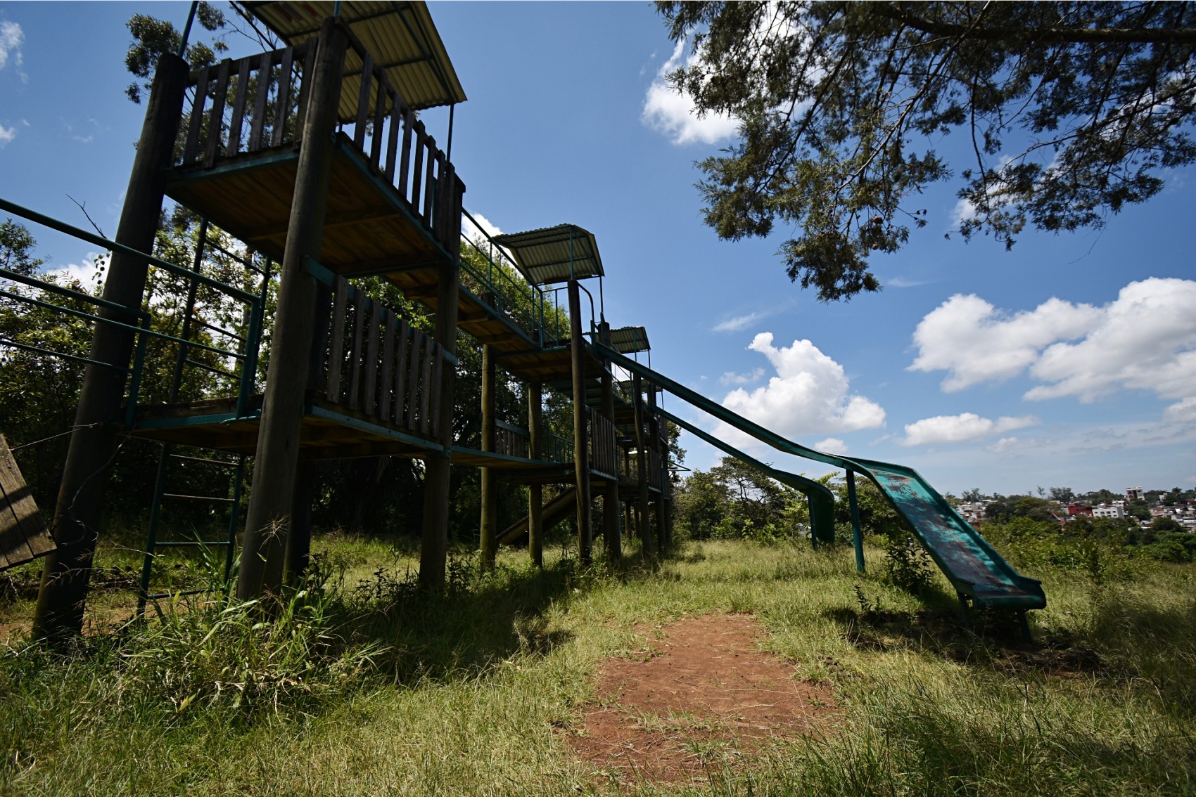 Predomina la maleza y las alimañas en parques de Xalapa