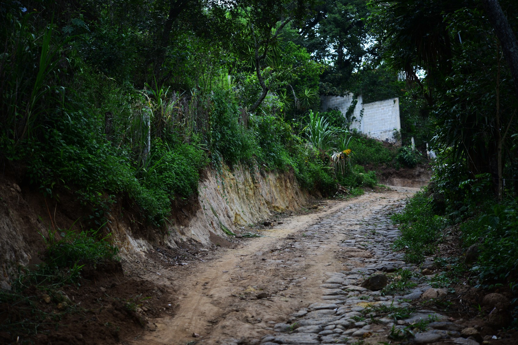 Obra de la Fundación Chedraui daña un terreno, y no quieren repararlo